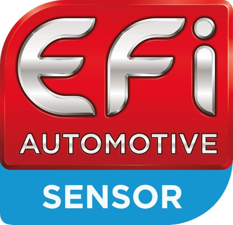 EFI - Senser logo