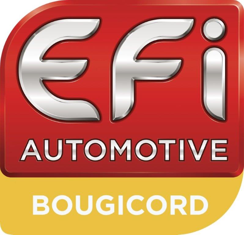EFI - Bougicord